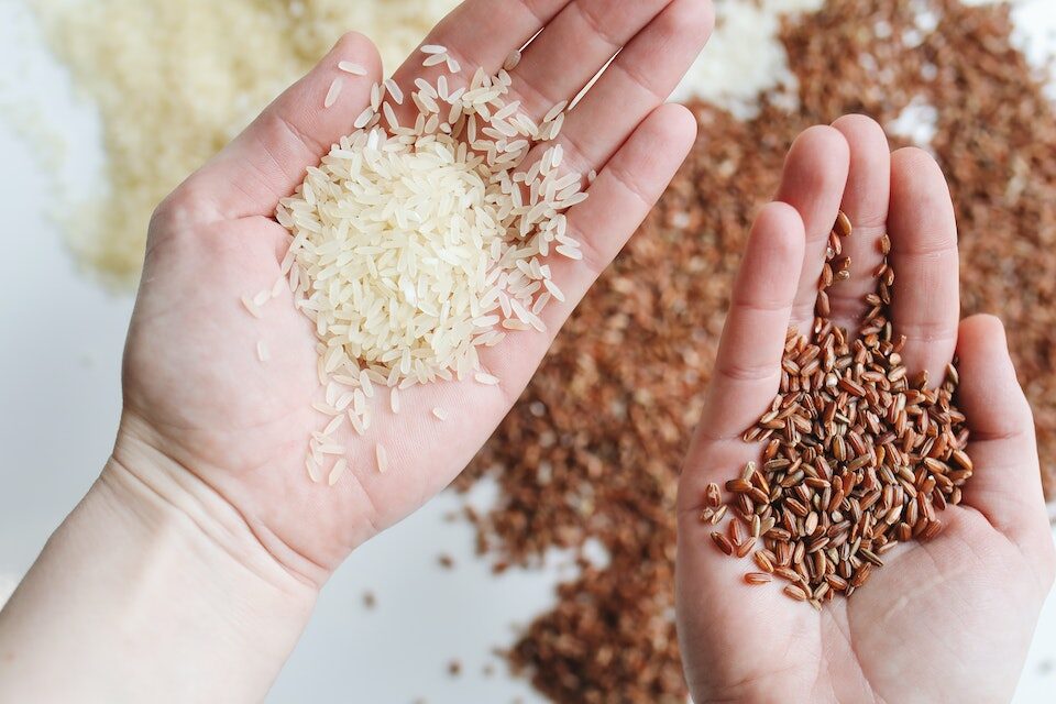 Read more about the article Does Rice Make You Fat? Discover the Whole Truth